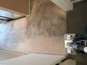 Rotovac Bonzer Carpet Cleaning mission viejo